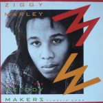 Ziggy Marley And The Melody Makers-0