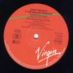Ziggy Marley And The Melody Makers-3