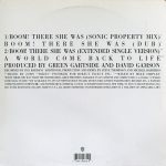 Scritti Politti Featuring Roger*-1