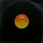 Rodney Franklin-2