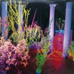 Hüsker Dü-0