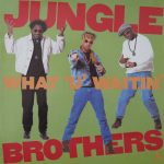 Jungle Brothers-0