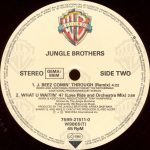 Jungle Brothers-3