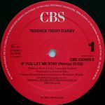 Terence Trent D'Arby-2