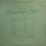 Stevie Wonder-0