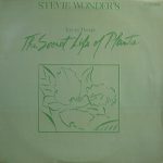 Stevie Wonder-0