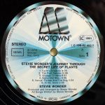 Stevie Wonder-4