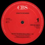 Eighth Wonder-3