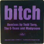 Meredith Brooks-3