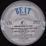 Ambassadors Of Funk-2