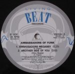 Ambassadors Of Funk-3