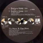 Ta Mara & The Seen-0