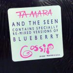 Ta Mara & The Seen-2