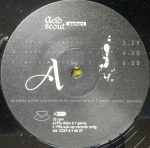 Acid Scout-2