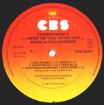 Andreas Vollenweider-2