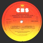 Andreas Vollenweider-3
