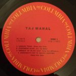 Taj Mahal-2