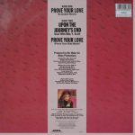 Taylor Dayne-1