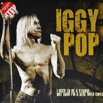 Iggy Pop-0