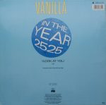 Vanilla (4)-1