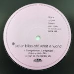 Sister Bliss-3