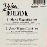 Dries Roelvink-1
