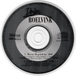 Dries Roelvink-2