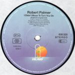 Robert Palmer-2
