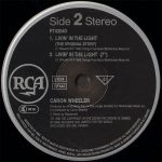 Caron Wheeler-3
