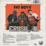 Fat Boys And The Beach Boys-1