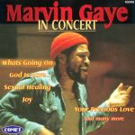 Marvin Gaye-0