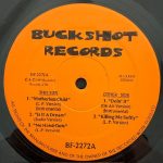 BUCKSHOT RECORDS – MOTHERLESS CHILD / DOIN’ IT / KILLING ME SOFTLY – 12"