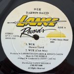 DARWIN DAVID – WUK – 12"
