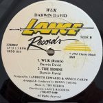 DARWIN DAVID – WUK – 12" - Afbeelding 2