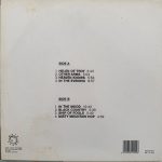 ROBERT PLANT – NOW AND HERE – LP - Afbeelding 2