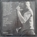 ROBERT PLANT – GREAT RADIO CONCERT – LP - Afbeelding 2
