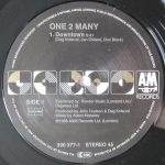 One 2 Many-1