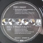 One 2 Many-2
