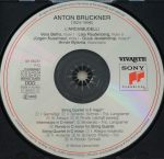 Anton Bruckner - L'Archibudelli-1