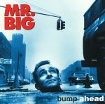 Mr. Big-0