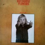 Hothouse Flowers-0