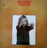 Hothouse Flowers-0