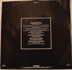 The Icicle Works-4