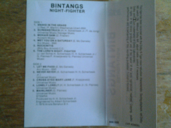Bintangs-1