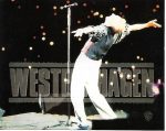 Marius Müller-Westernhagen-2