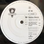 Dublex House-1