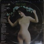 The Pretty Things-3