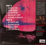 Foo Fighters-1