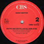 Sandy Marton-3