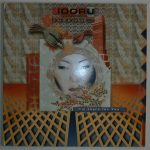 Idoru Wunderkind Featuring J de B & Junko (11)-0